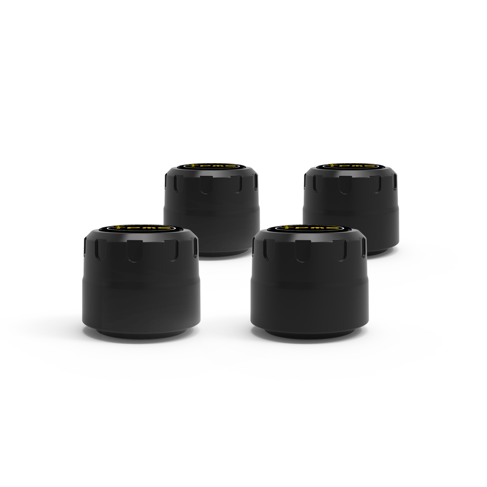 V101B Tire pressure tool — product view