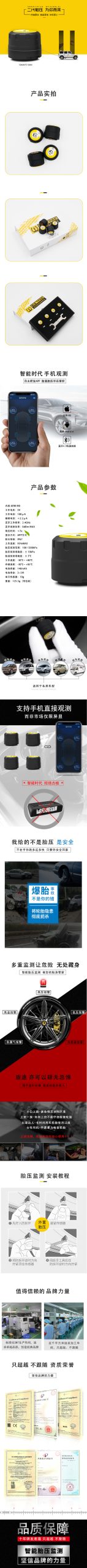 V11B Tire pressure tool — product view